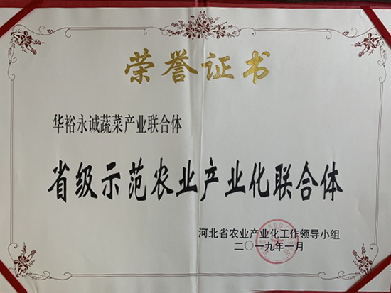 蔬菜示范聯合體
